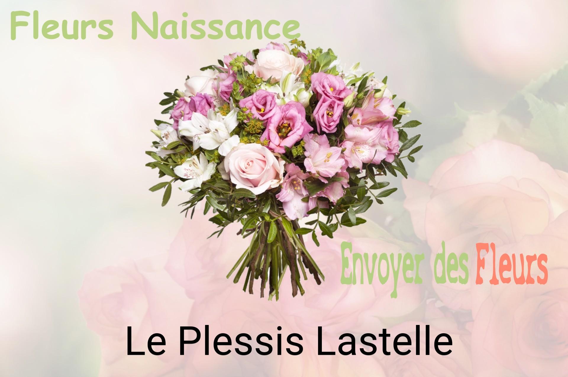 Bouquet de fleurs de naissance livré à Le Plessis-Lastelle